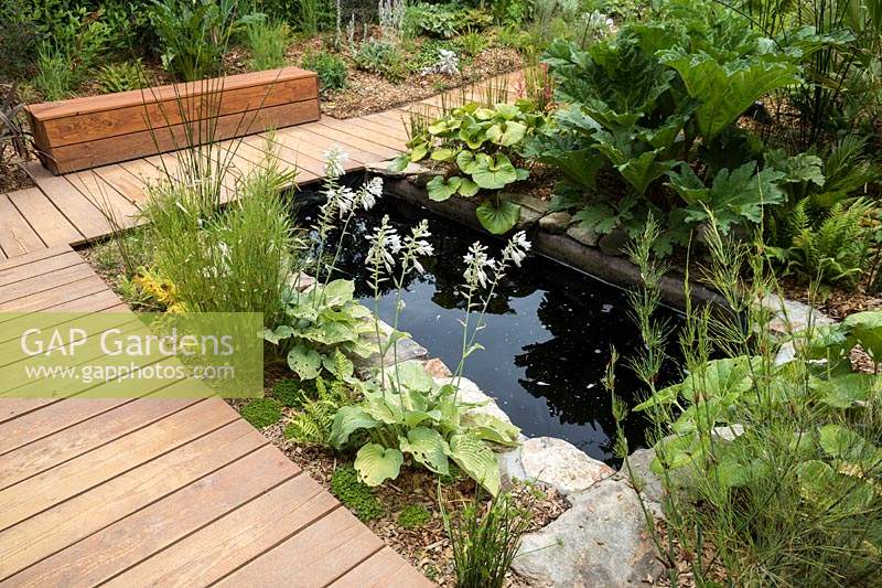 Cultivons Notre Paradis, Cultivating Our Paradise. Festival International des Jardins 2019, Domaine de Chaumont sur Loire, France. Rectangular pond, water feature, with Hostas.