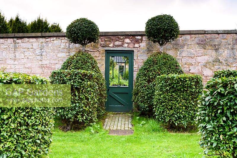 Clipped Portugese laurels frame a door into the Walled Garden incorporating old hand forks at Broadwoodside, Gifford, East Lothian, Scotland