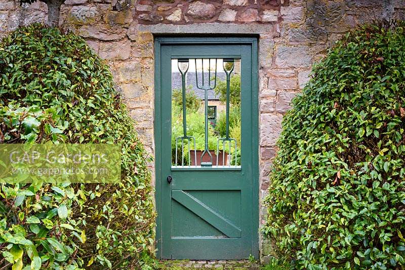 Clipped Portugese laurels frame a door into the Walled Garden incorporating old hand forks at Broadwoodside, Gifford, East Lothian in Scotland.