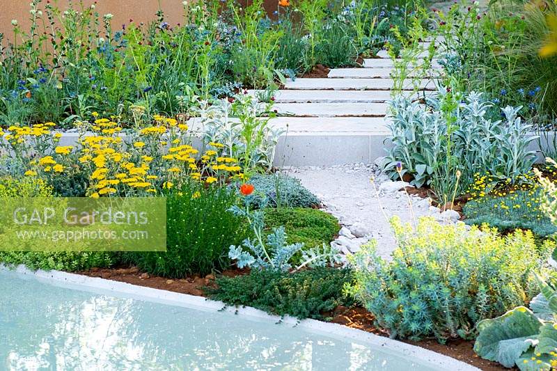 Curved path and staircase surrounded by mediterranean-style planting.Ã‚Â The Dubai Majlis Garden. Sponsor: Dubai, RHS Chelsea Flower Show 2019
