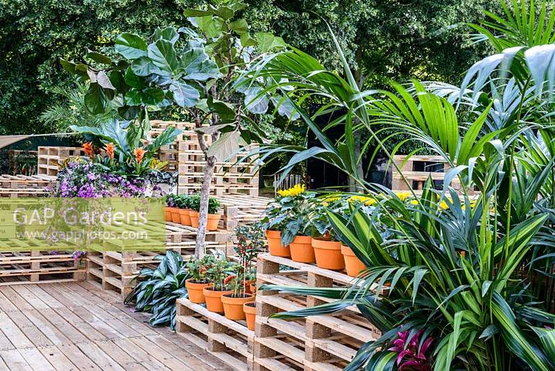 Container pots on wooden crates. Grow Hope. The World Vision Garden - RHS Hampton Court Flower Show 2014. Sponsor: World Vision.