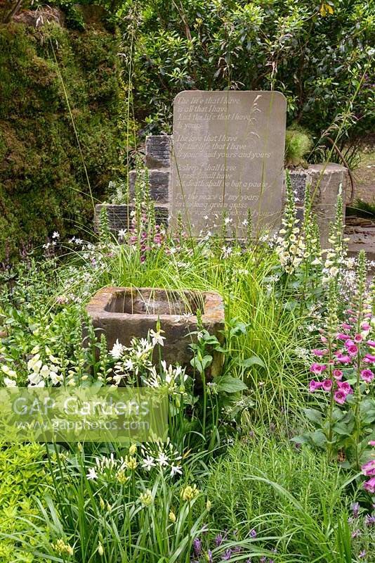 Gravestone and water trough among foxgloves, acquilegia and agapanthus in the The Evaders Garden at RHS Chelsea Flower Show 2015 - Sponsor: Chorley Council