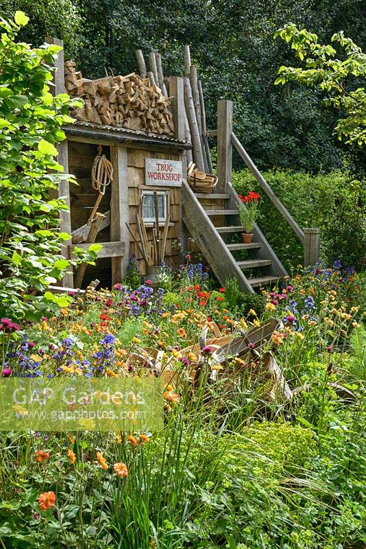 Traditional timber workshop with planting of poppies, Geum 'Totally Tangerine', anchusa, cirsium and astrantia. A Trugmaker's Garden by Future Climate Info - RHS Chelsea Flower Show 2016.