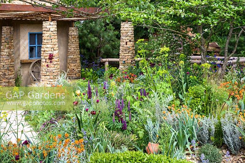 Overview of the Sentebale - Hope in Vulnerability Garden at RHS Chelsea Flower Show 2015 - Sponsor: David Brownlow charitable foundation, Princes Foundation for Building Community - People's Choice 2015