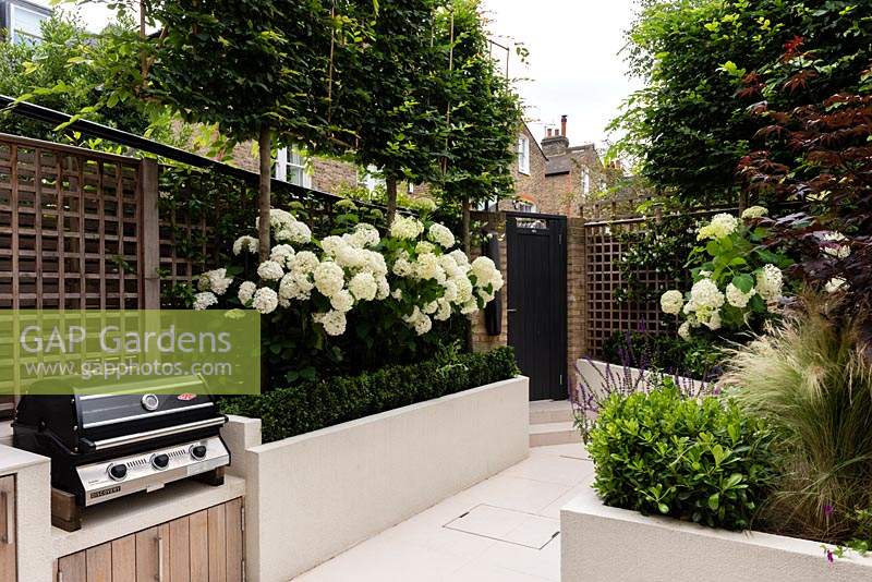 BBQ area with built in storage cupboards in cedar wood and raised beds with Carpinus betulus and Hydrangea 'Annabelle'