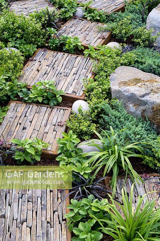 .Stepping stones with slate pieces in corten steel frames  with green foliage groundcover planting Ophiopogon planiscapus 'Nigrescens' -Through Your Eyes Garden - RHS Hampton Court  Palace Garden Festival 2019  
Design: Lawrence Roberts and William Roobrouck -  Sponsors: Kebony, CED Stone, R and G Metal Products, William's Art and Design, Practicality Brown.