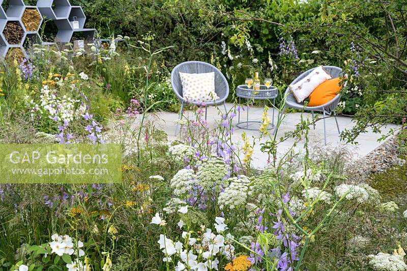 Seating area with two armchairs and planting of nectar-rich flowers such as Campanula persicifolia var. alba, Buddleia, Rosa 'Kew Gardens', Achillea 'Terracotta', Verbascum 'Gainsborough', Daucus carota,  Bellflowers  - The Urban Pollinator Garden - RHS Hampton Court Palace Garden Festival, 2019  
Designer: Caitlin McLaughlin