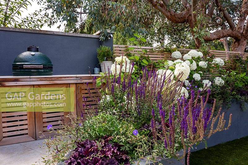 London contemporary garden - bespoke barbecue on patio with grey raised border. Planting includes Heuchera berry smoothie, Salvia caradonna, Hydrangea anabelle, Geranium johnsons blue.
