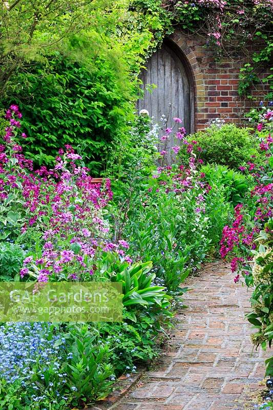 View of spring border and brick pathway leading to gothic wooden door. Plants include honesty 'Lunaria annua', forget-me-not 'Myosotis', spurge laurel 'Daphne laureola' and Tulipa 'Spring Green'.