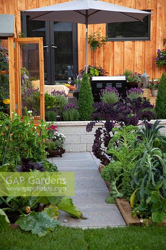 Vegetables growing in the Tesco 'Every Little Helps' garden at BBC Gardener's World Live 2017