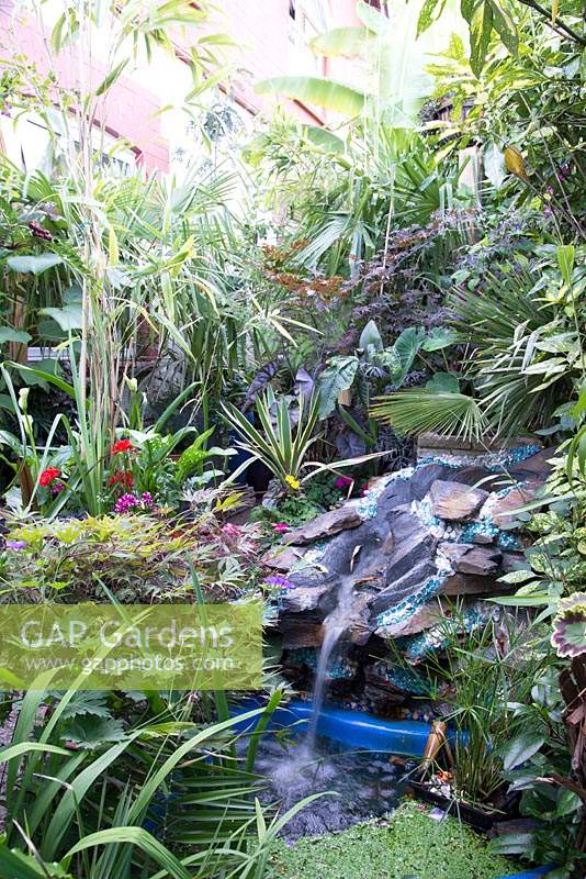 A small town garden with tropical foliage plants with water feature