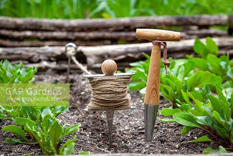 Garden line and dibber ready for planting in the vegetable garden.