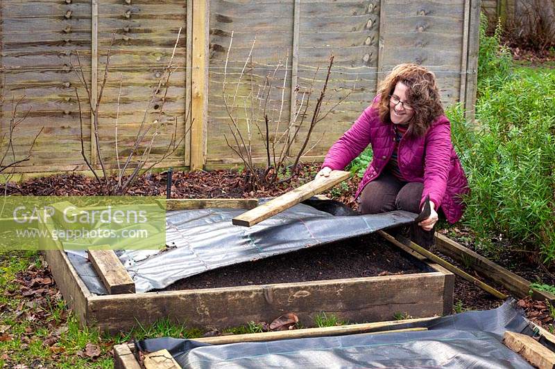 Covering a raised bed in the vegetable garden with black sheeting to warm the soil and prevent weeds
