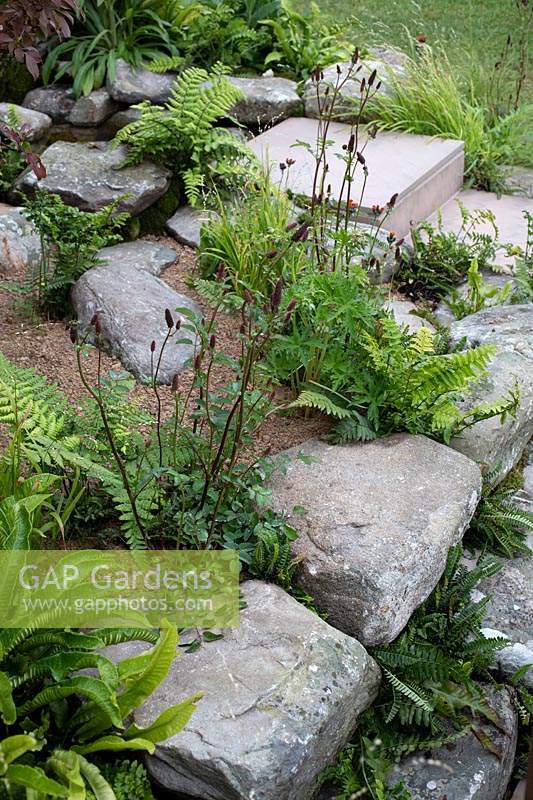 Stone steps lead down through naturalistic planting in the 'Elements of Sheffield' garden at the RHS Chatsworth Flower Show 2019.