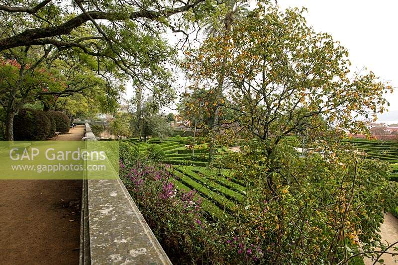 Jardim Botanico da Ajuda - Ajuda Botanical Garden, Lisbon, Portugal, created in 1768, Baroque geometrical box garden with fountains. Baroque side and central stairways. Plants and seeds from all over the world. Late autumn.