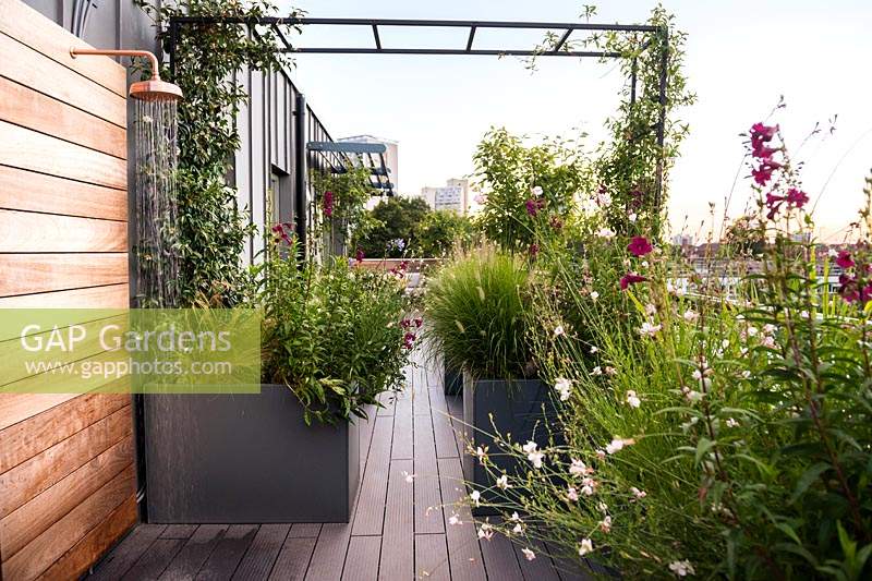 Roof garden with copper outdoor shower surrounded by Trachelospermum jasminoides, Gaura lindheimeri 'Whirling Butterflies' and Penstemon 'Raven' AGM in containers.