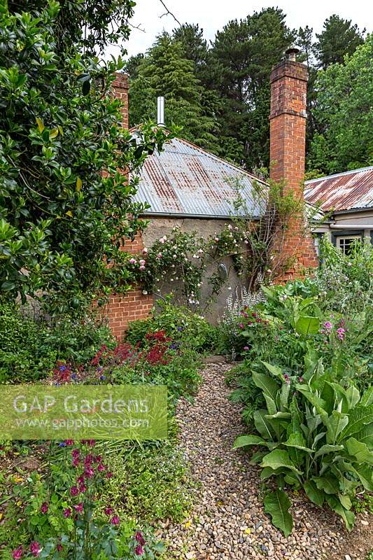 A gravel path between informal beds of perennials and annuals to a house with corrugated roof and brick chimneys