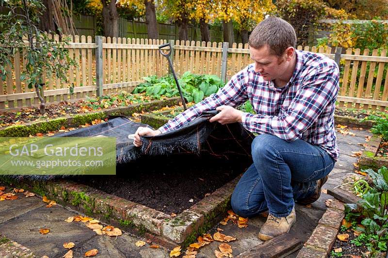 Covering an empty bed in the vegetable garden with black fabric to stop it getting weedy