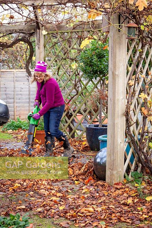 Clearing leaves from paving and paths using a leaf blower