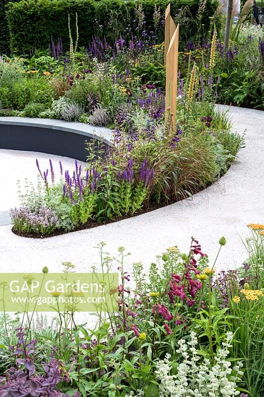 Spiralling pathway leading to sunken seating area with planting including Penstemon, Salvia, Digitalis and Roses - The Cancer Research UK Garden. Pledge Pathway To Progress - RHS Hampton Court  Palace Garden Festival 2019 