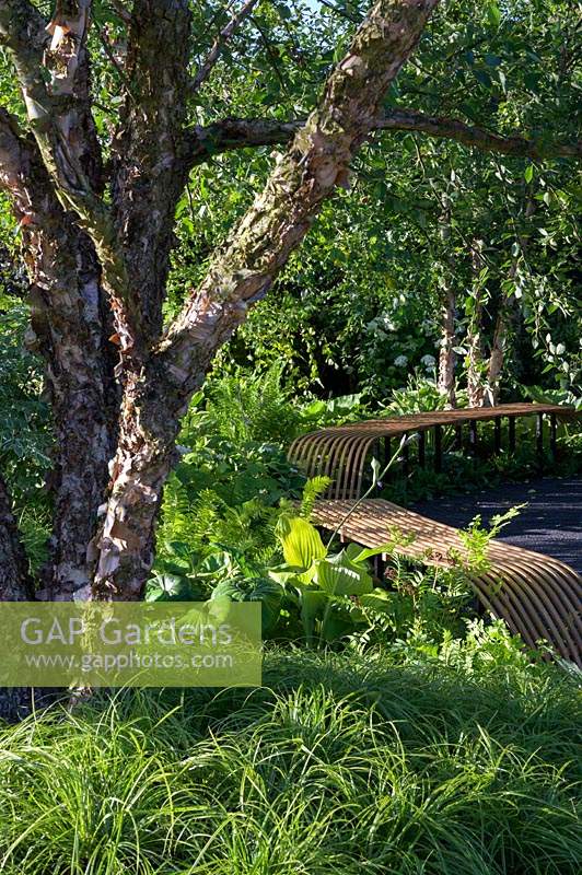 The Smart Meter Garden. RHS Hampton Court Palace Garden Festival, 2019.

