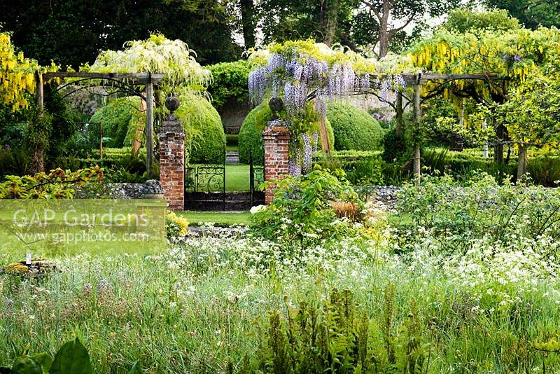 Pergola laden with Wisteria and Laburnum forms the fourth wall of the tunnel garden at Heale House near Salisbury, UK. 