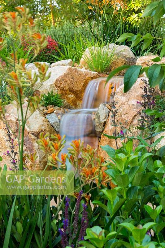 Detail of a sanstone waterfall made from rustic sandstone boulders, with a rockery style garden surrounding featuring a Anigozanthos 'Landscape Tangerine' and Viburnum odoratissimum 