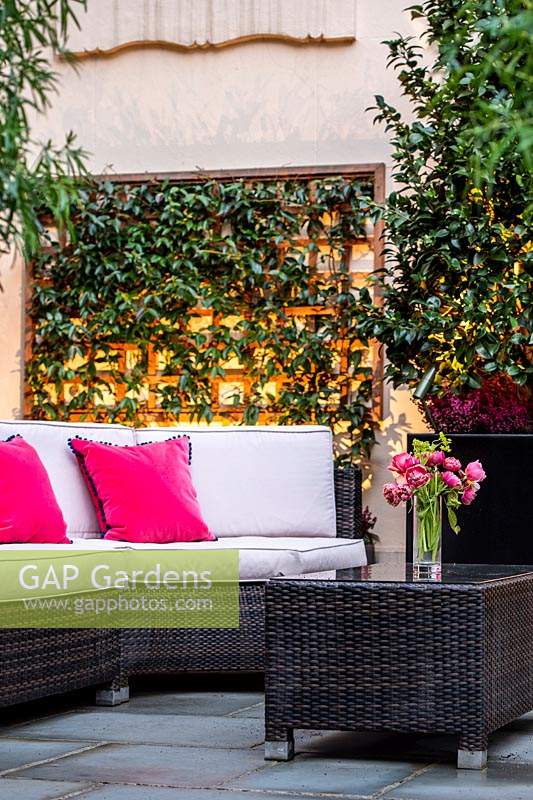 Outdoor seating area with pink cushions, with wall-mounted trellis supporting evergreen climber provides shelter