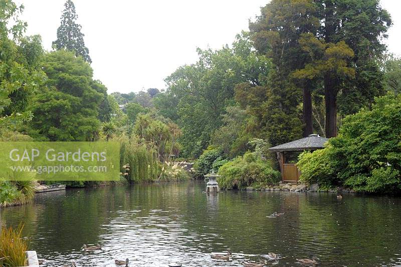 Dunedin New Zealand Botanical Gardens pond area.