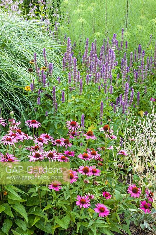 Tiers of herbaceous planting mixed with grasses
