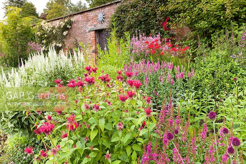 The west facing border in the Walled Garden at Holehird Gardens