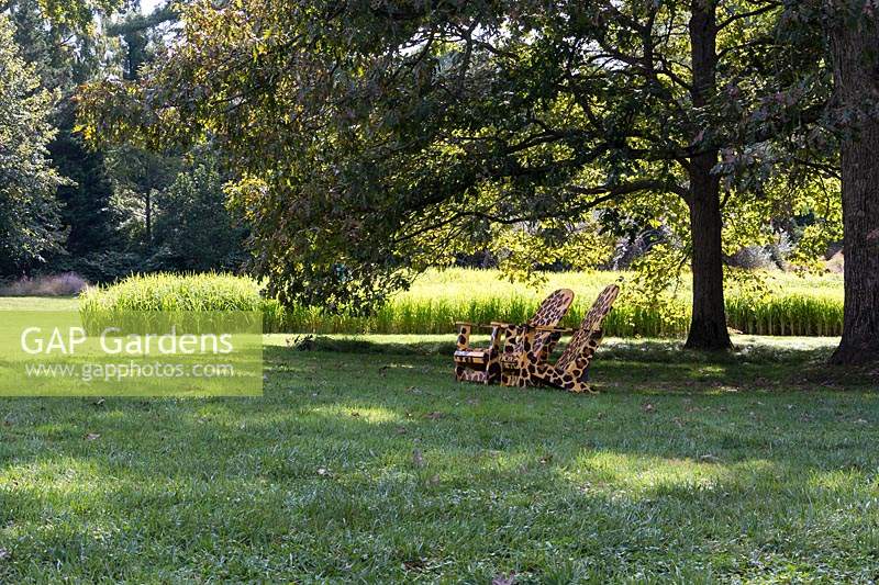 Pair of Adirondack chairs painted in animal motif set beneath tree, large bed of Carolina Gold rice in background