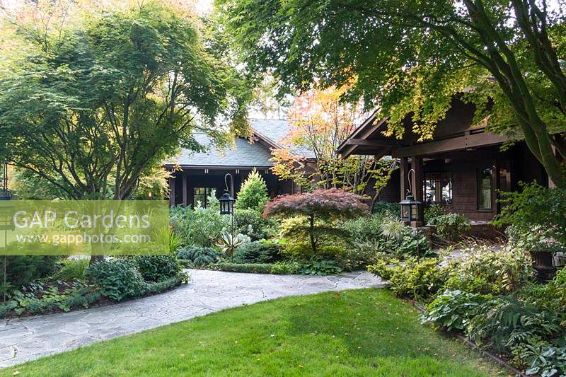 A paved path leads to the craftsman-style home, mixed beds of trees, conifers, shrubs, perennials and ornamental grasses 