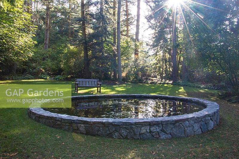 Bench and stone-framed reflecting pool set within forest clearing. Surrounded by native conifers