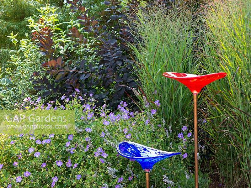 Two glass bird baths in front of mixed bed with Panicum virgatum 'Shenandoah' and Geranium 'Rozanne', Continus coggygria in background