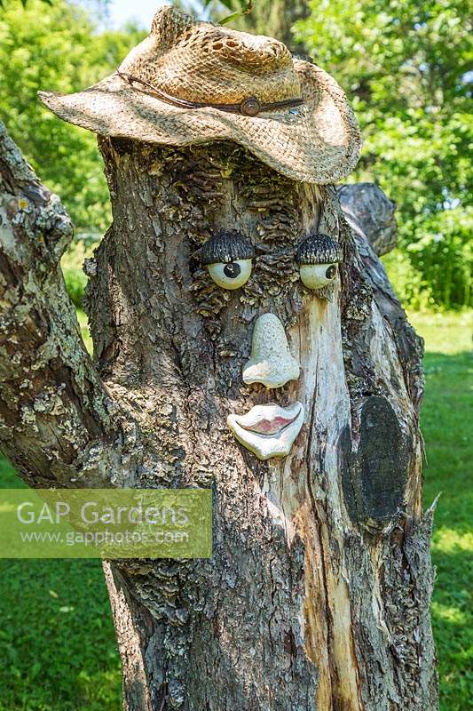 Cowboy tree face on deciduous tree trunk in backyard garden