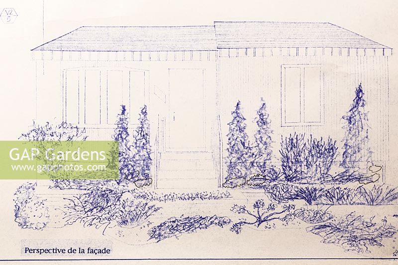 Landscaping blueprint for planting of coniferous trees and shrubs in borders of residential home facade.