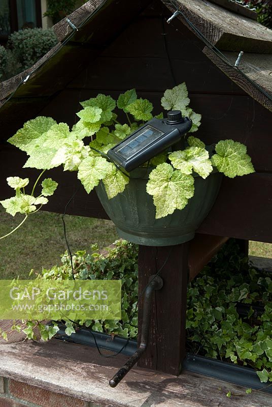 Small solar device to power garden lighting - Open Gardens Day 2013, Middleton, Suffolk