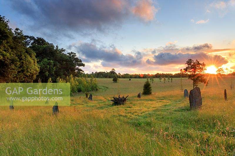 Sunrise at the stone circle. The wild part of the garden with its young trees and wild grasses. In the centre of the stone circle is an upturned tree stump with a crystal embedded in it.