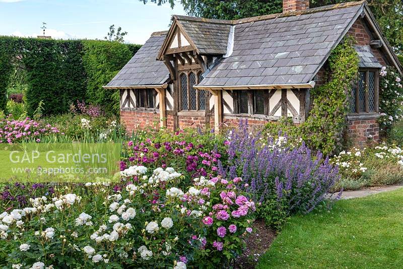 The Shrub Rose Garden. Borders of roses mingling with herbaceous perennials such as catmint and hardy geraniums, leading to the Tea House, a C19 folly. Arley Hall, Cheshire, UK.