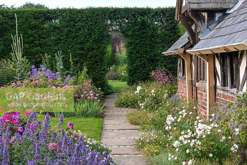 The Shrub Rose Garden. A path leads past the Tea House, a C19 folly, to the herbaceous borders. It is edged in roses, catmint, hardy geraniums and fritillaries. Arley Hall, Cheshire, UK.