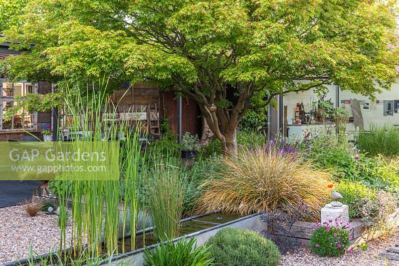 View over an old galvanised water trough transformed as a water feature, towards a raised bed of drought tolerant plants beneath an Acer palmatum. Beyond, an artist's studio, and covered dining area.