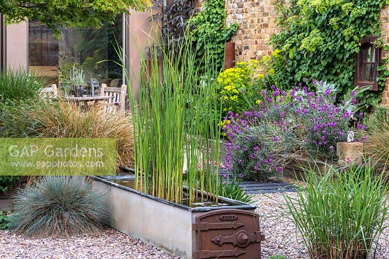 A salvaged galvanised water trough is converted into a water feature, and planted with irises and water lilies. Clumps of blue fescue and miscanthus grow in the gravel.