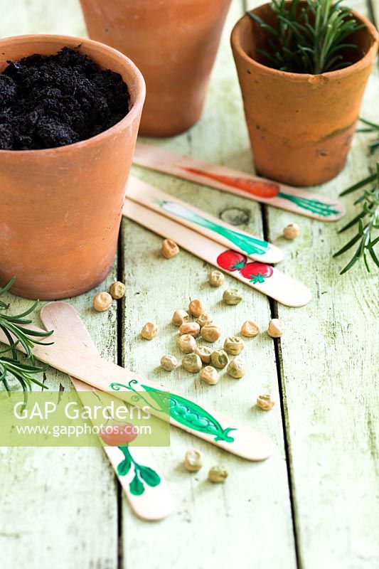 Decorated Ice lolly sticks as vegetable labels