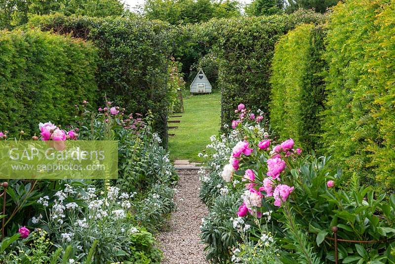 Chicken coop at end of long narrow path in formal country garden, June.  