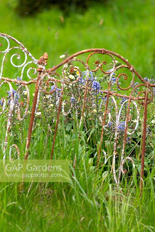 An old iron bedstead is used as a decorative feature with bluebells growing through it.