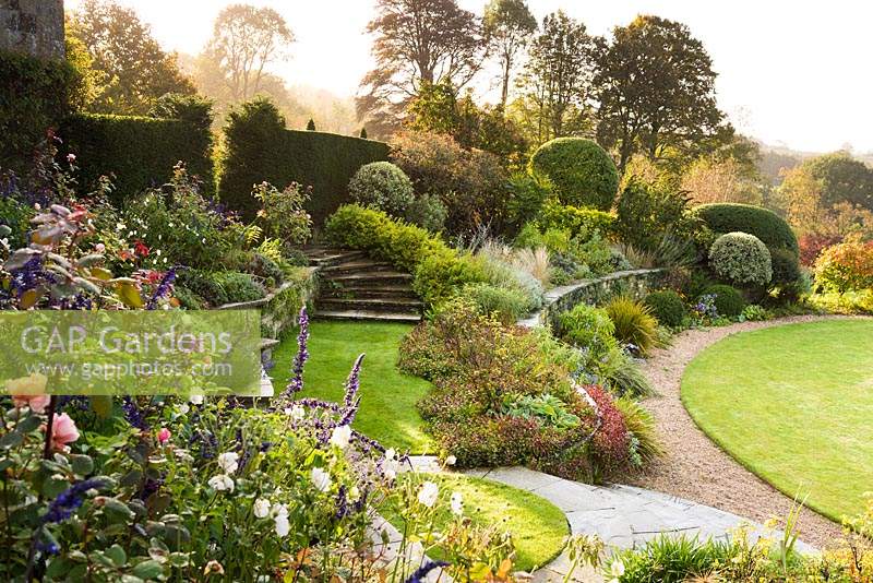 View across different borders of shrubs and herbaceous perennials including clipped Buxus - Box, Pittosporum and Osmanthus, softening hard landscaped features steps and retaining walls in a terraced garden