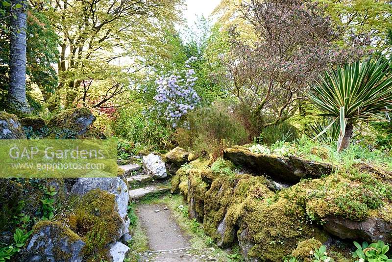 The Rockery criss-crossed by a network of pebbled paths at Hotel Endsleigh, Devon in spring with 
