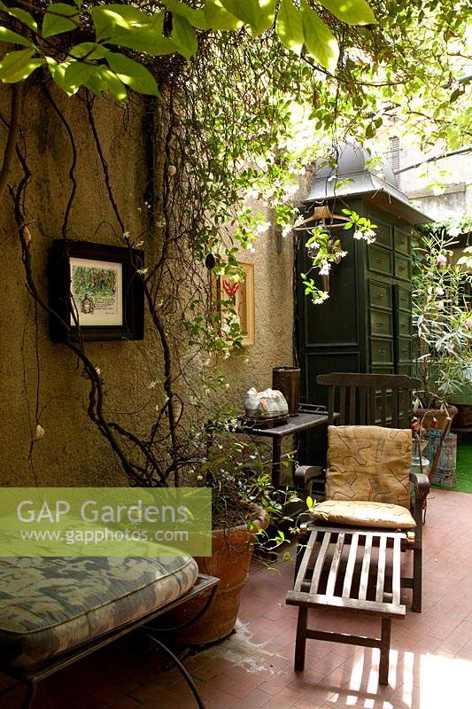 A sheltered terrace with seats and shade provided by trachelospermum jasminoides, ivy and amercian grapevine parthenocissus quinquefolia.