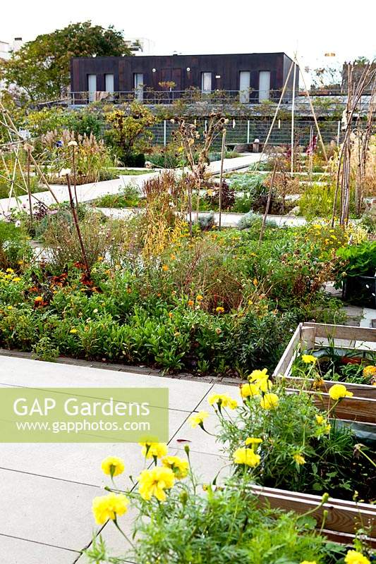 Urban garden. Jardin sur le toit. Paris, France.